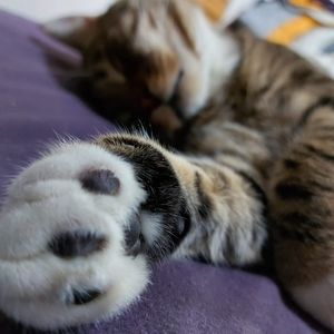 Meet your Posher, Annick